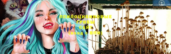эйфоретик Гусиноозёрск