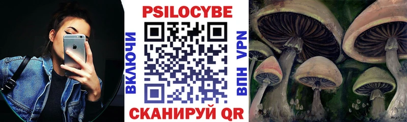 Псилоцибиновые грибы Psilocybe  закладки  Ессентуки 