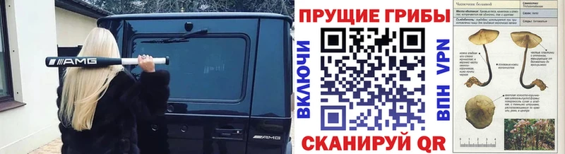 Галлюциногенные грибы прущие грибы Ессентуки